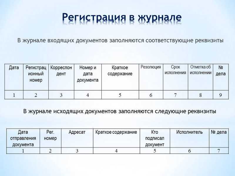 Налоговый учет: все, что нужно знать руководителю