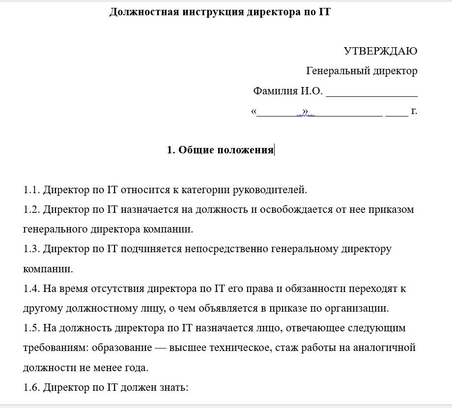 Должностные обязанности генерального директора организации в 2022 году