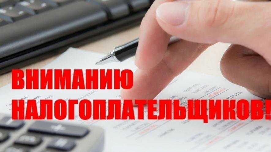 Енп: что это за налог, его плюсы и минусы, как работать и перейти на него