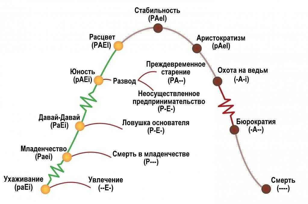 Модель жизненного цикла организации по адизесу: разбираем подробно — powerbranding.ru