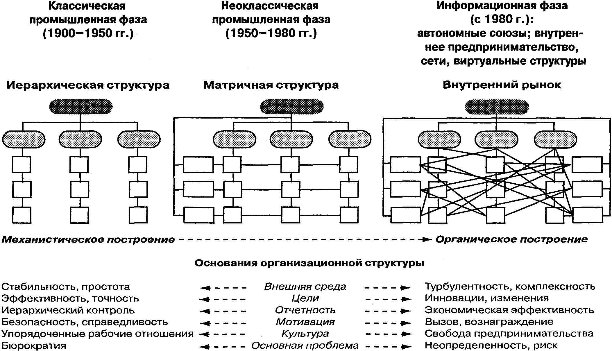 Организационная структура предприятия: понятие и типы