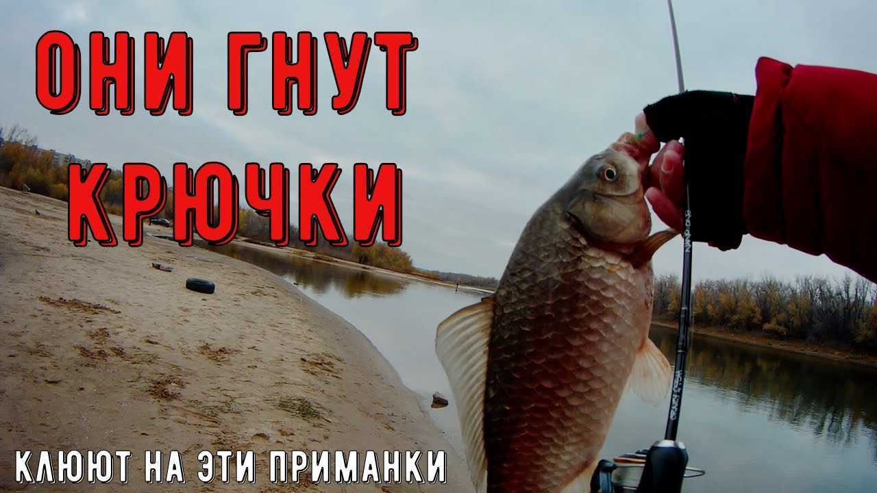 Запрет на ловлю спиннингом: время, штрафы. весенний нерест