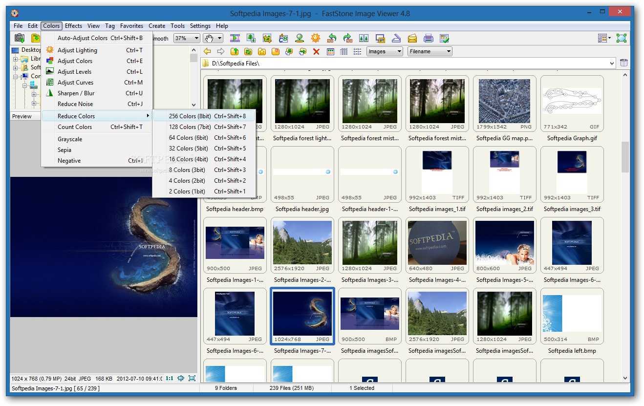 Программа для просмотра фотографий на компьютере. FASTSTONE image viewer. Программа image viewer. FASTSTONE image viewer картинки. FASTSTONE image viewer приложение.