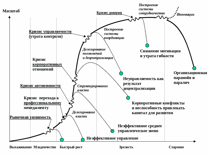 Адизес развитие организации. Стадии жизненного цикла Адизеса. Модель жизненного цикла организации Ицхака Адизеса. Адизес стадии жизненного цикла. Жизненный цикл Адизеса схема.