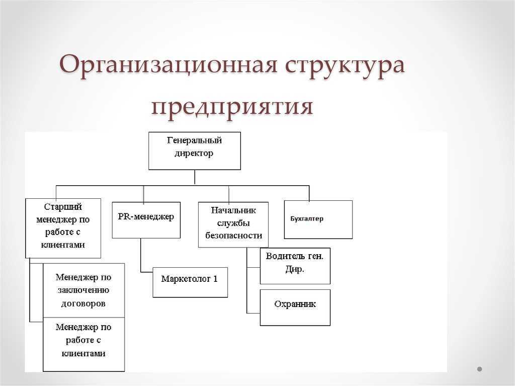 Организационная структура предприятия: понятие и типы