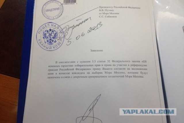 "врио" ℹ️ как правильно писать аббревиатуру в официальных документах и приказах, расшифровка, примеры написания