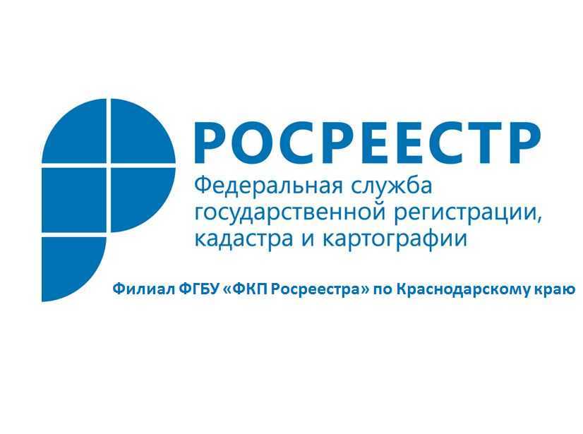 Кадастр, кадастровый паспорт и выписка. что это и для чего они нужны? на сайте недвио
