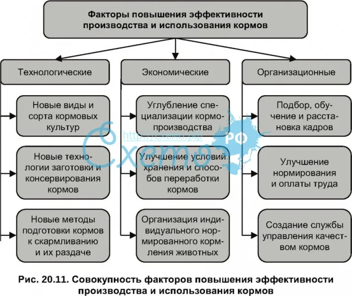 Планы содержащие директивы направленные на повышение общей эффективности