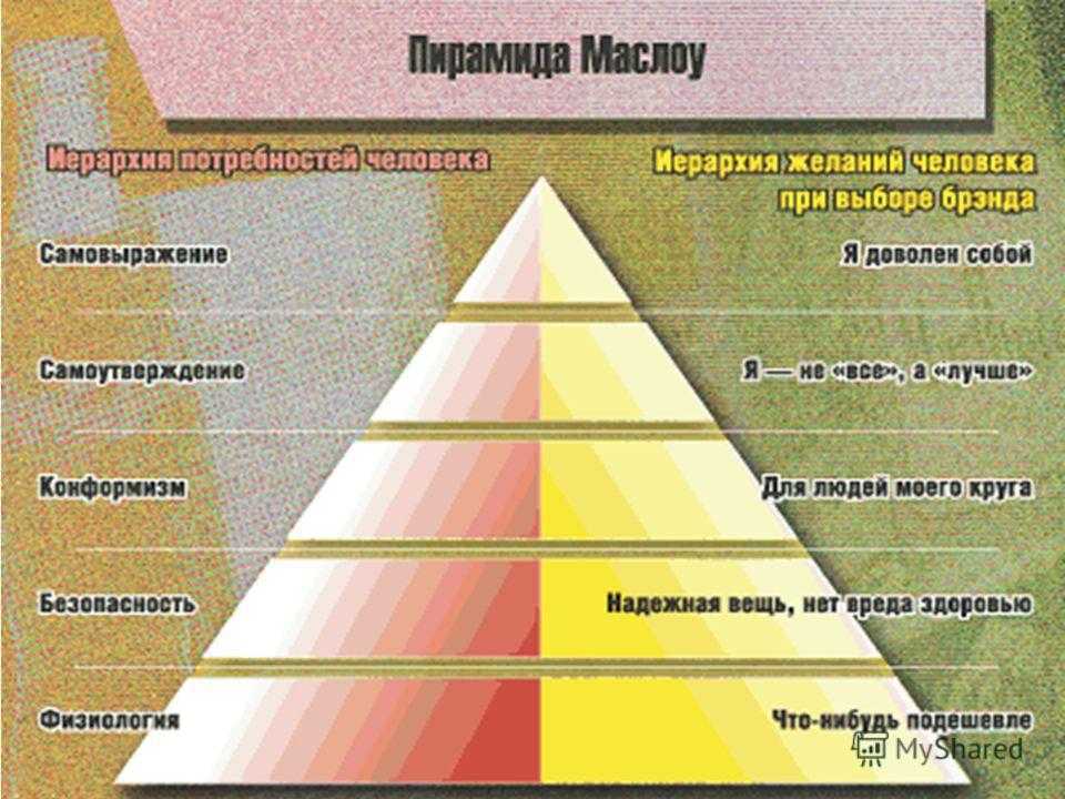 Уровни пирамиды потребностей человека по абрахаму маслоу: что относится к базовым