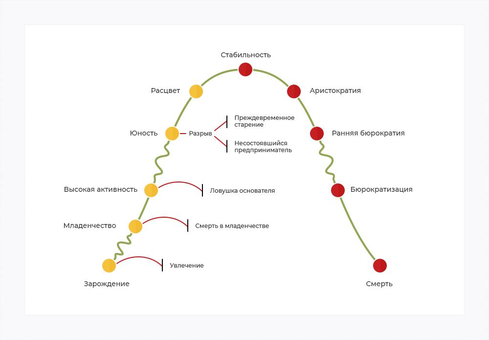 Схема жизненного цикла компании