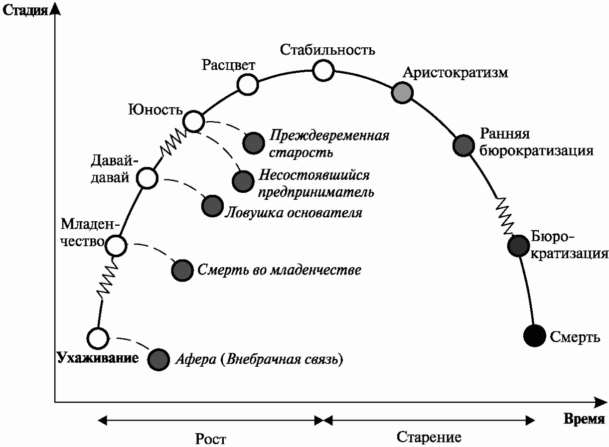 Жизненный цикл организации: от рождения до смерти