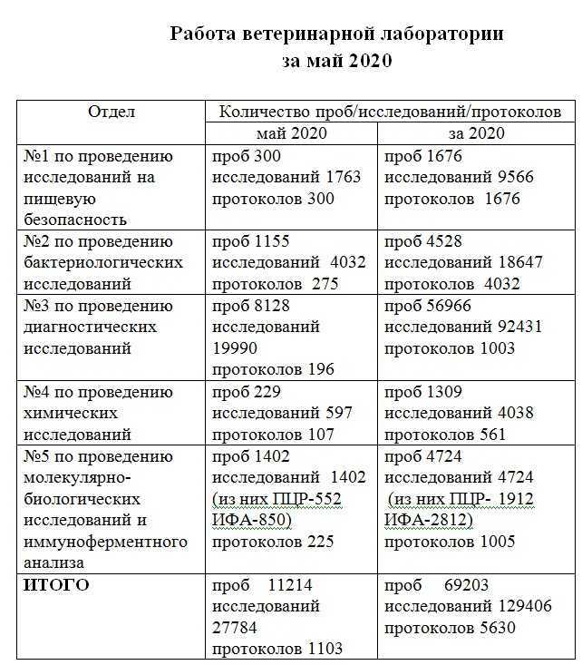 Отчет работы воспитателя