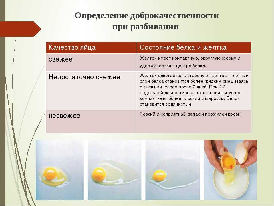 Когда можно белок яйца ребенку. Способы определения доброкачественности яиц. Определение качества яиц. Качество яйца куриного. Качество яиц определяют.