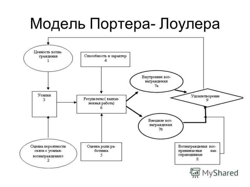 Основные теории мотивации: почему белка бежит за орехом?