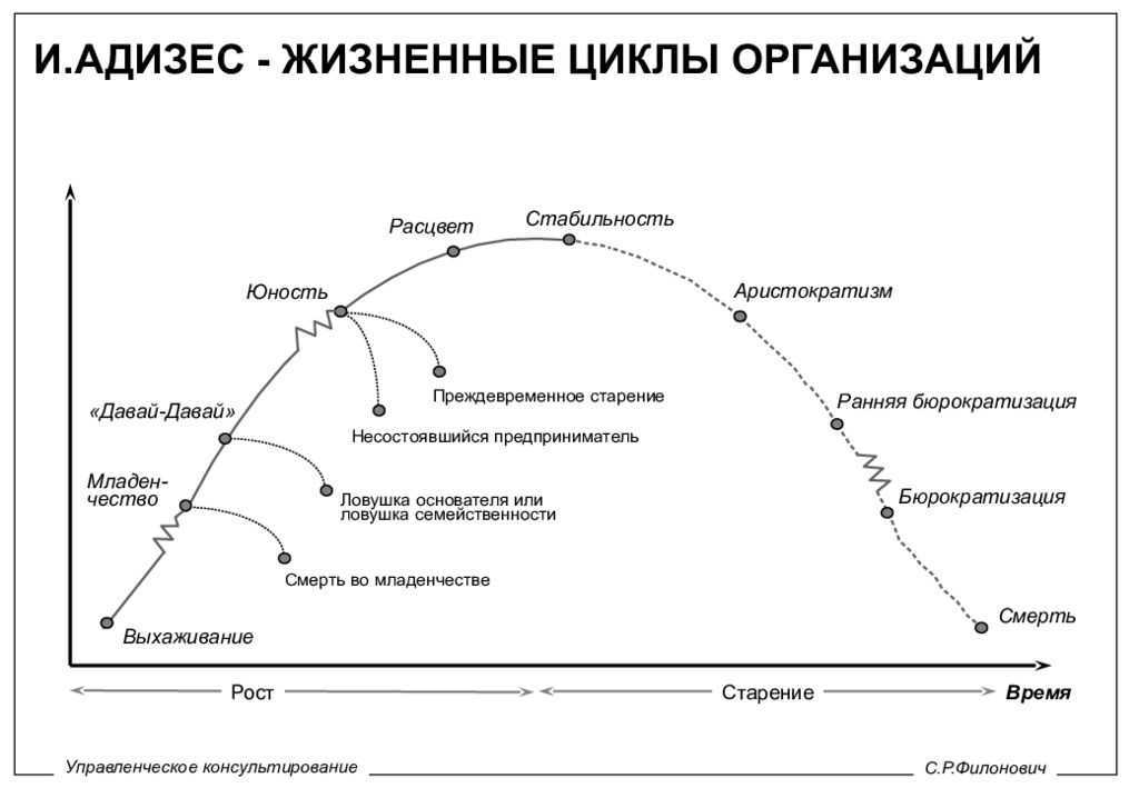 Жизненный цикл организации