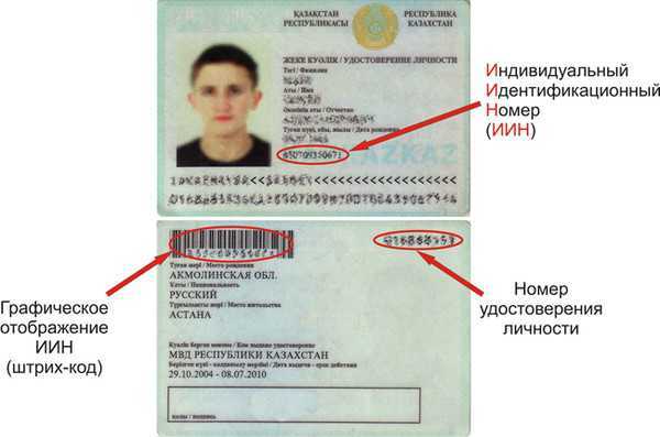Идентификатор гражданина что это. Номер удостоверения личности. Налоговый нрсер в паспортп.